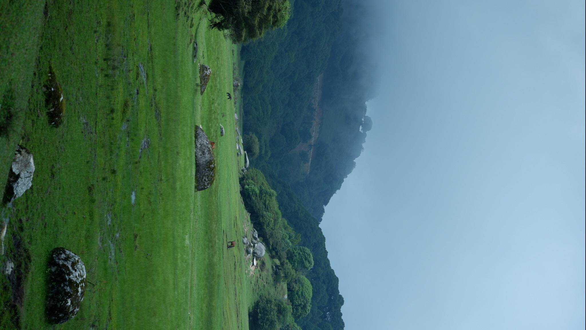Open highland meadow scenery at Picaiba near Mangshi